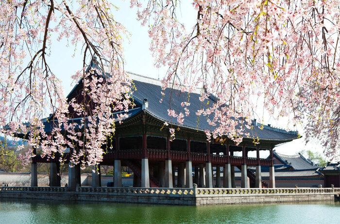 Istana Gyeongbukgung © visitkorea.or.id