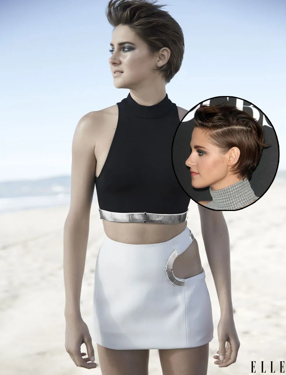 Wajah Shailene Woodley mirip Kristen Stewart © Istimewa