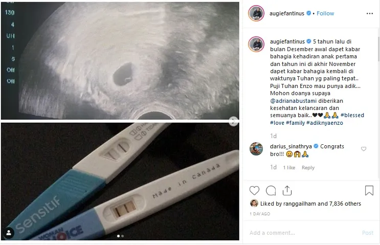 ©instagram.com/augiefantinus