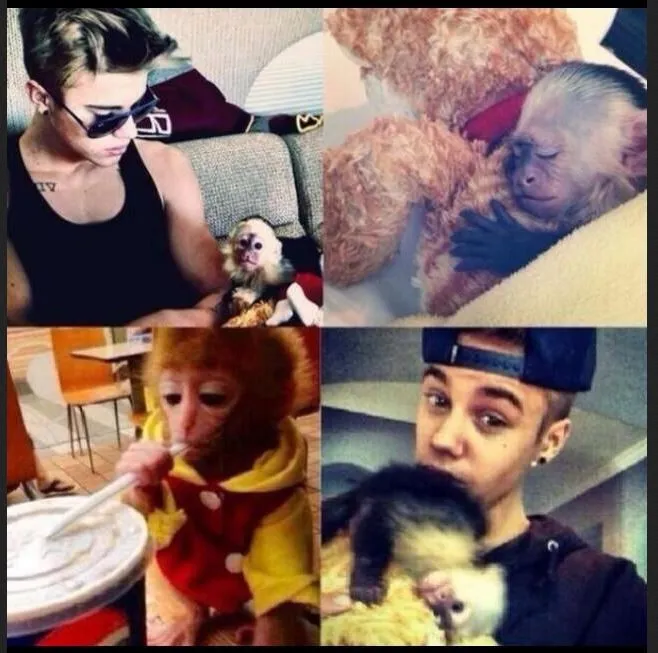 Justin dan Mally @ ibtimes.com