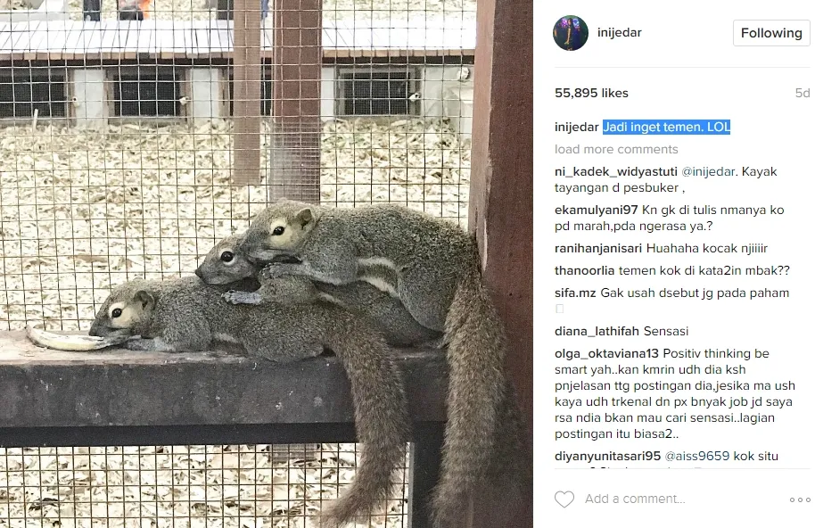Postingan Jessica Iskandar yang sita perhatian netizen. Šinstagram.com/inijedar