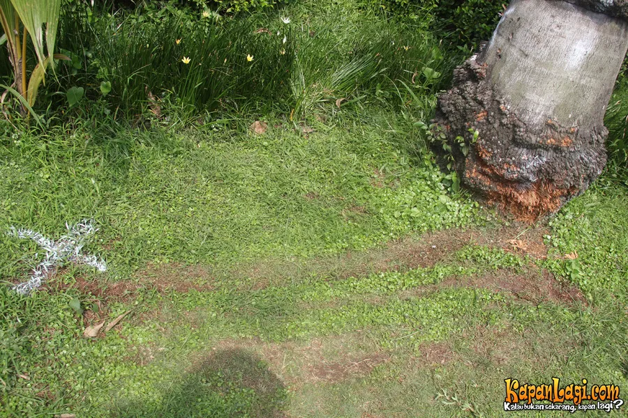 TKP Kecelakaan Uje @Foto: Budi Santoso