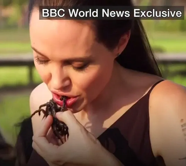 Jolie sama sekali tak ngeri saat makan tarantula © BBC