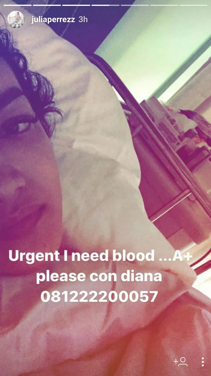 Julia Perez mengungkapkan saat ini sedang membutuhkan donor darah. ©Instagram/juliaperrezz