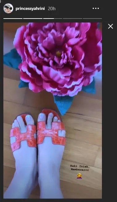 (credit: instagram.com/stories/princessyahrini)