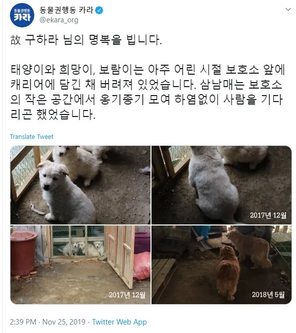 Goo Hara twitter.com/ekara_org