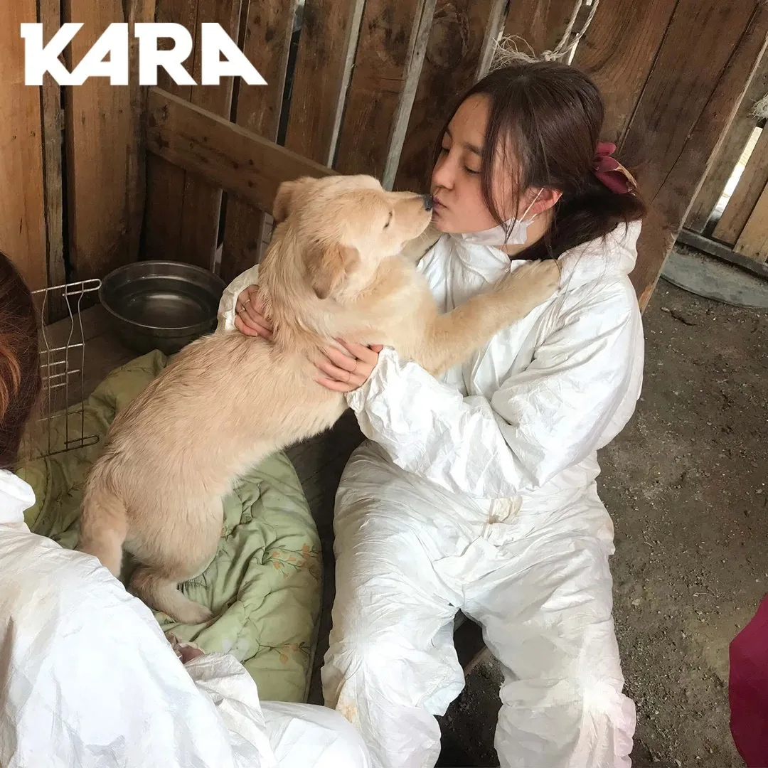 Goo Hara twitter.com/ekara_org