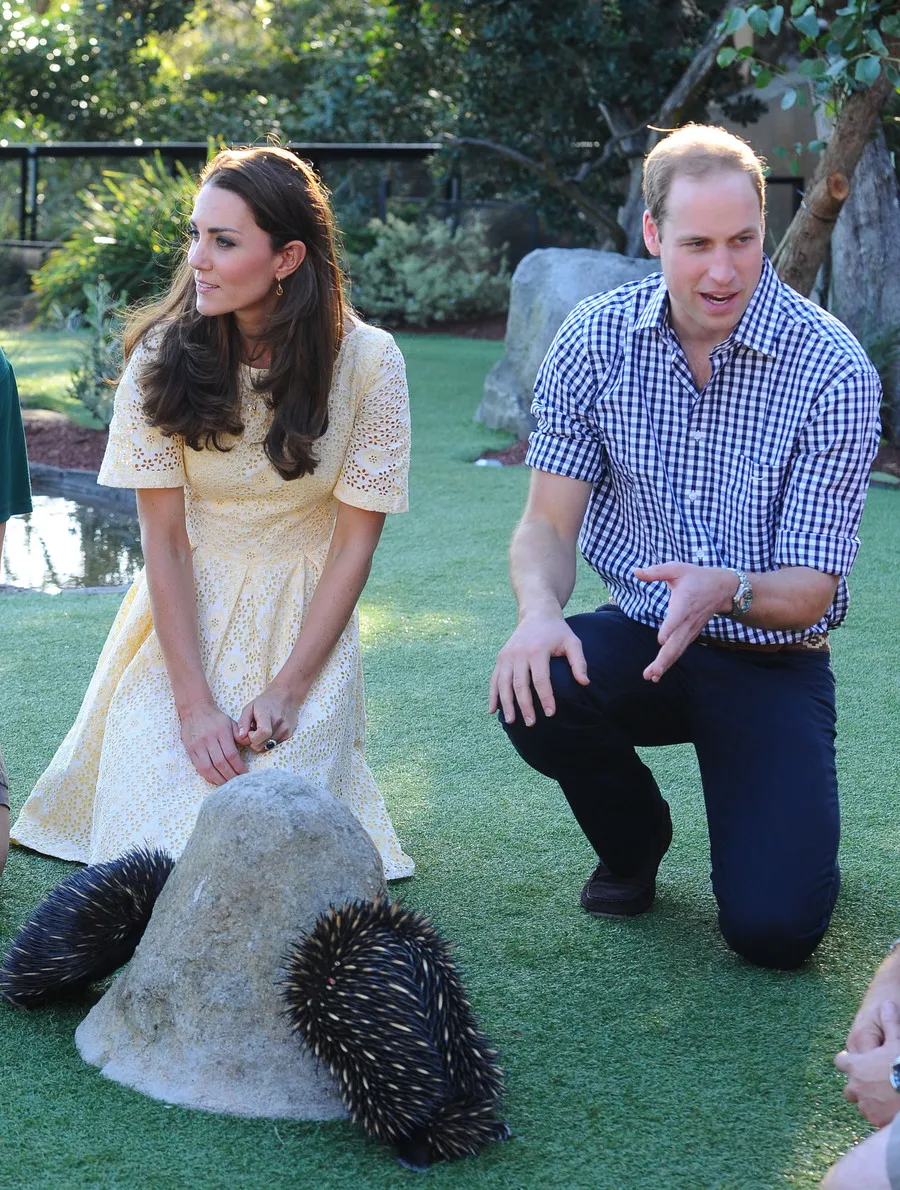 Kate Middleton dan Pangeran William @fameflynet