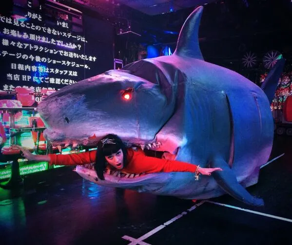 Katy Perry dimakan hiu @ Twitter/Katy Perry