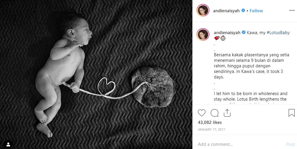 © instagram/andienaisyah