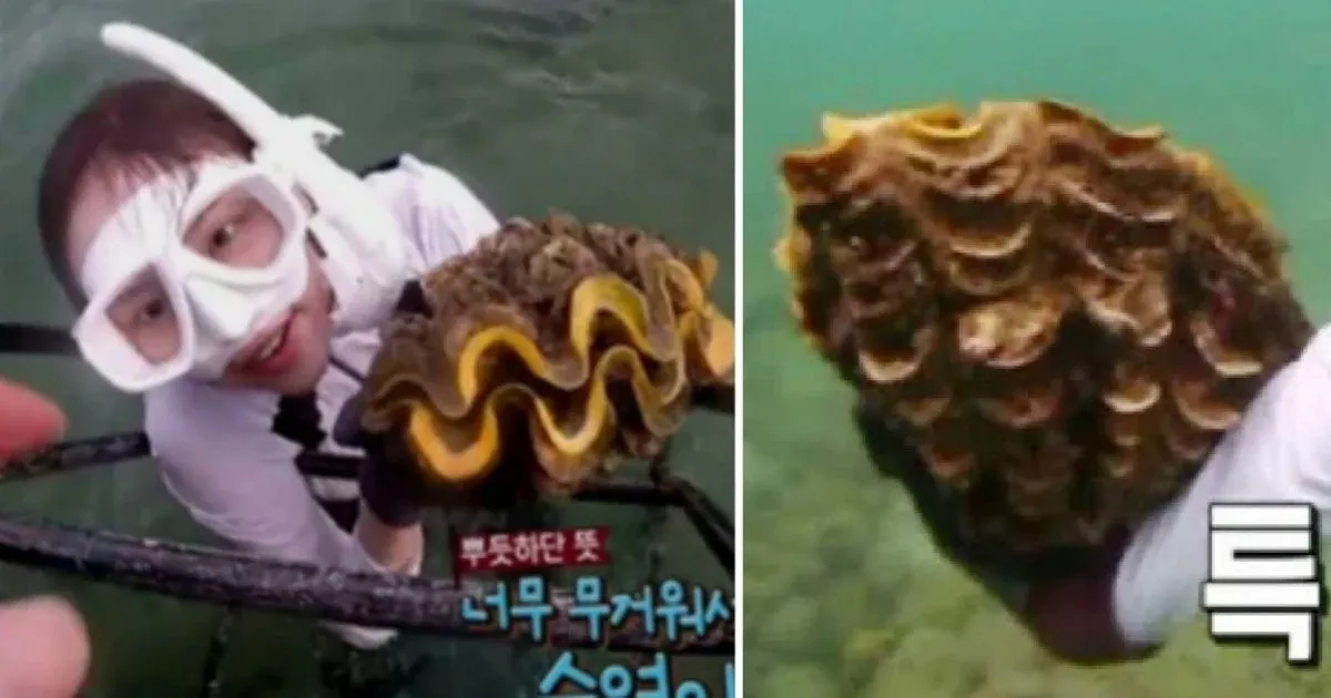 Lee Yeol Eum © koreaboo.com