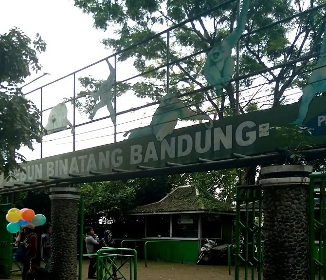 Foto : Instagram.com/kebunbinatangbandung_official, Diambil 8 Juli 2019