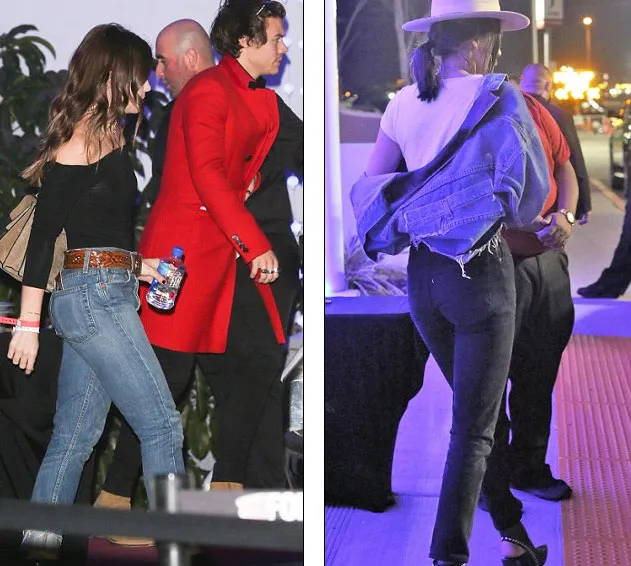 Harry Styles dan Kendall Jenner nonton konser yang sama © via dailymail.co.uk