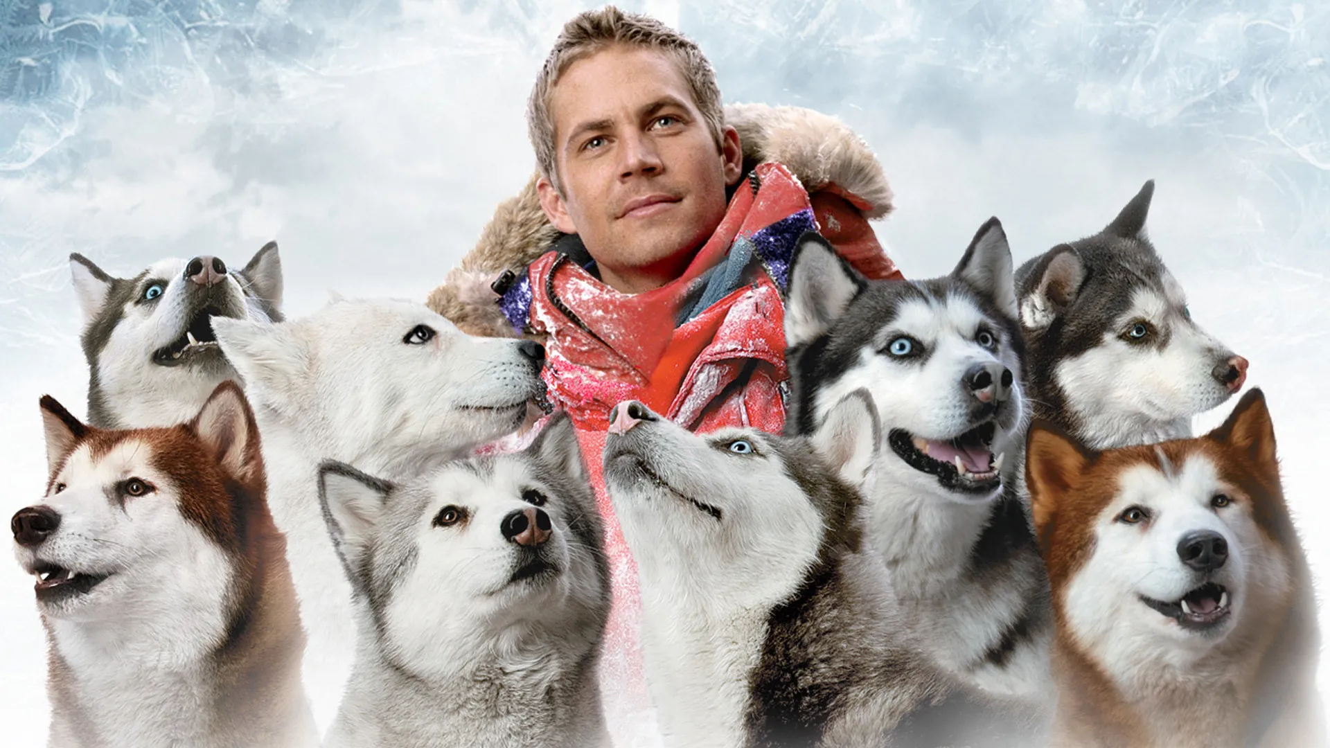 EIGHT BELOW