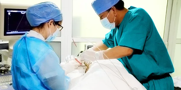 (c) Stamford Modern Cancer Hospital Guangzhou