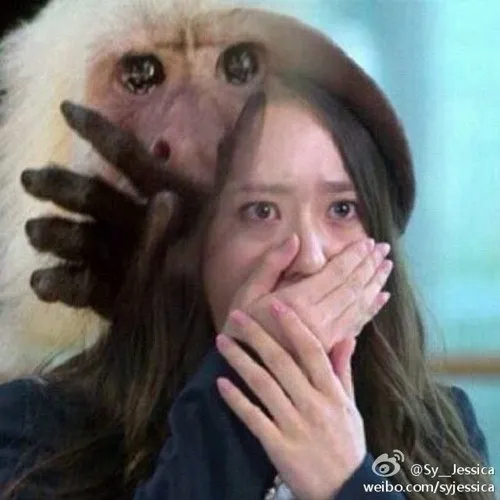 Pose Krystal yang diposting di weibo Jessica Girls Generation @soompi.com