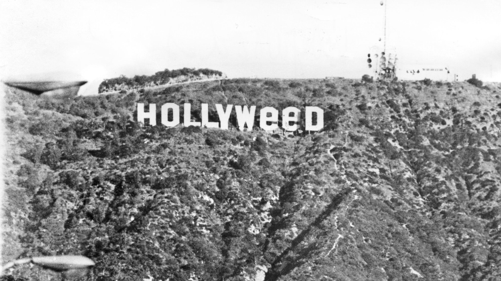 Gara-Gara 'Hollyweed', Penjagaan Tulisan 'Hollywood' Jadi Ketat ...