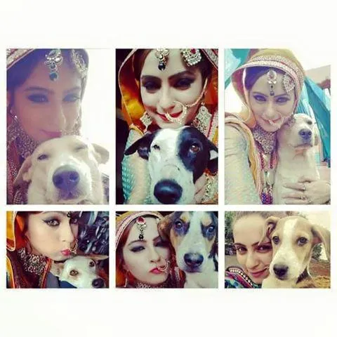 Ini dia teman baru Lavina Tandon di lokasi syuting @twitter.com/LavinaTandon