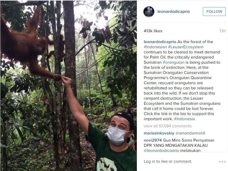Leonardo DiCaprio melakukan aktivitas pelestarian lingkungan di Taman Nasional Gunung Leuser. ©instagram.com/leonardodicaprio