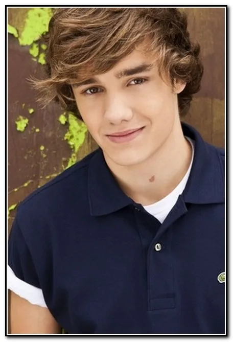 Liam Payne, One Direction