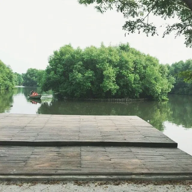 ©Instagram/weare_mangroove