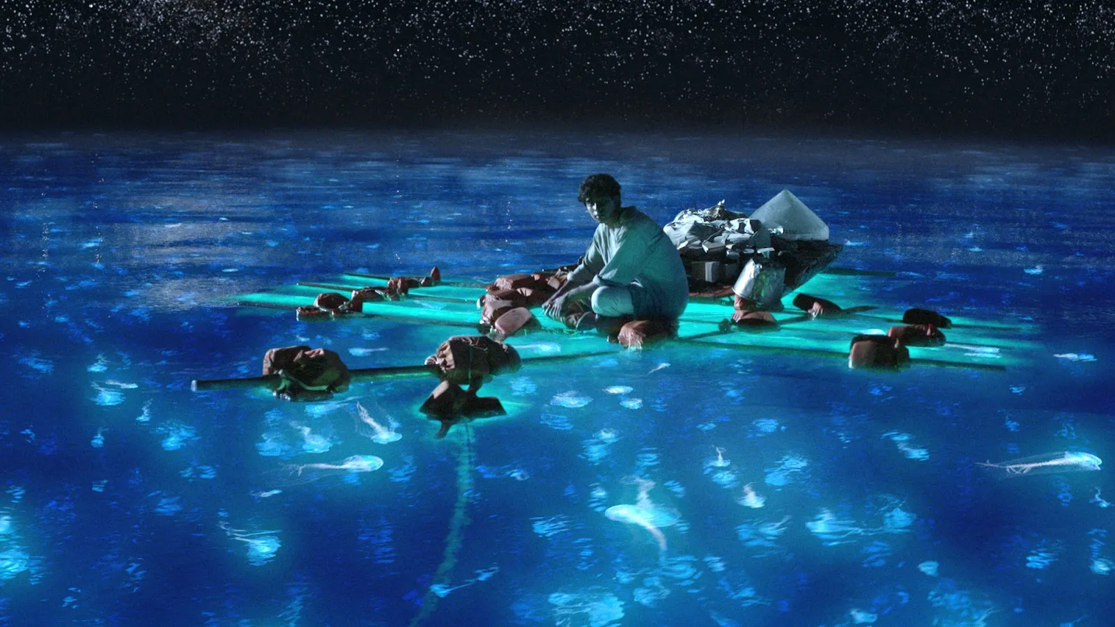 LIFE OF PI