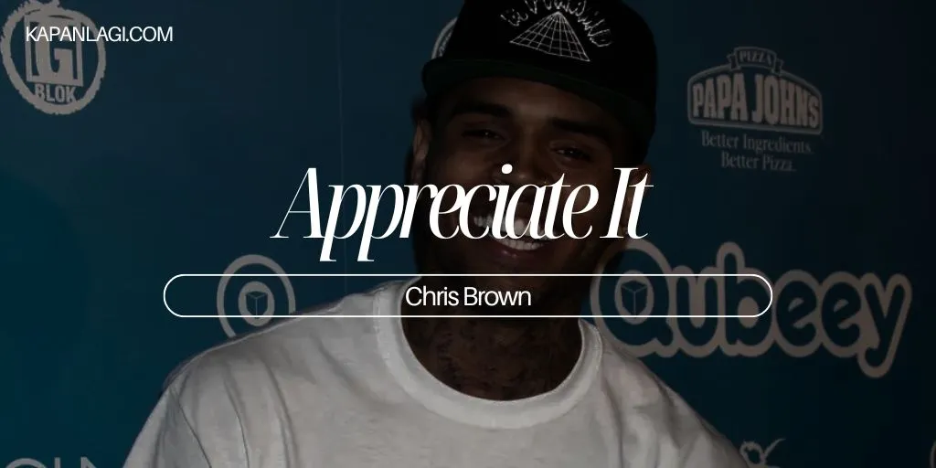 Lirik Appreciate It - Chris Brown