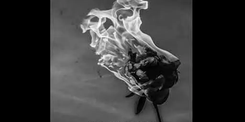 cigarette wrapped in leaf Locally Produced Cigarettes Wrapped Tobacco Leaves Stock Photo 1885667965