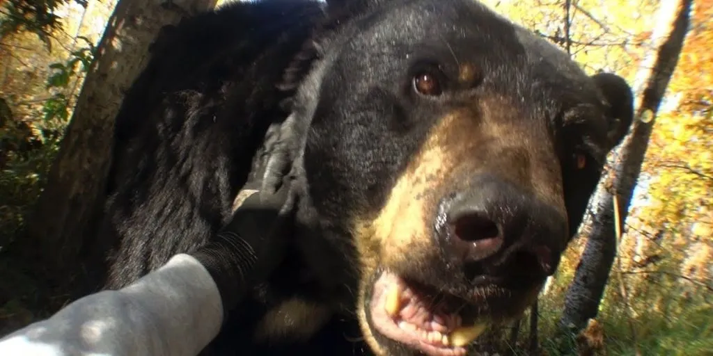 Joji - Past Won\'t Leave My Bed