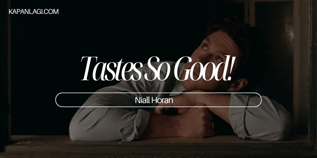 Lirik Tastes So Good - Niall Horan