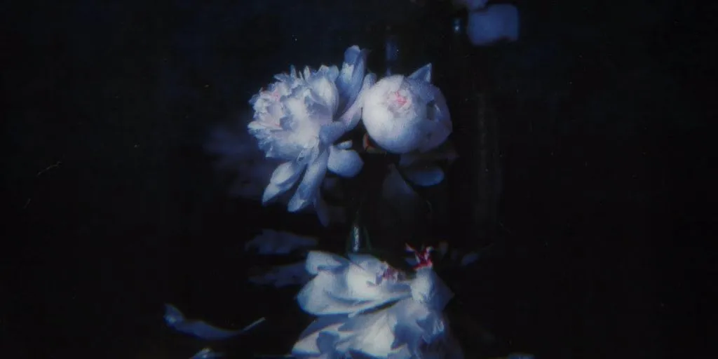 Reed Wonder, Aurora Olivas - Take All My Love