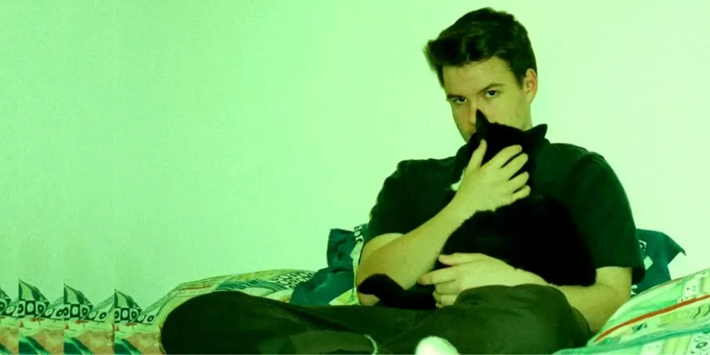 Rex Orange County - A Song About Being Sad dan Terjemahan