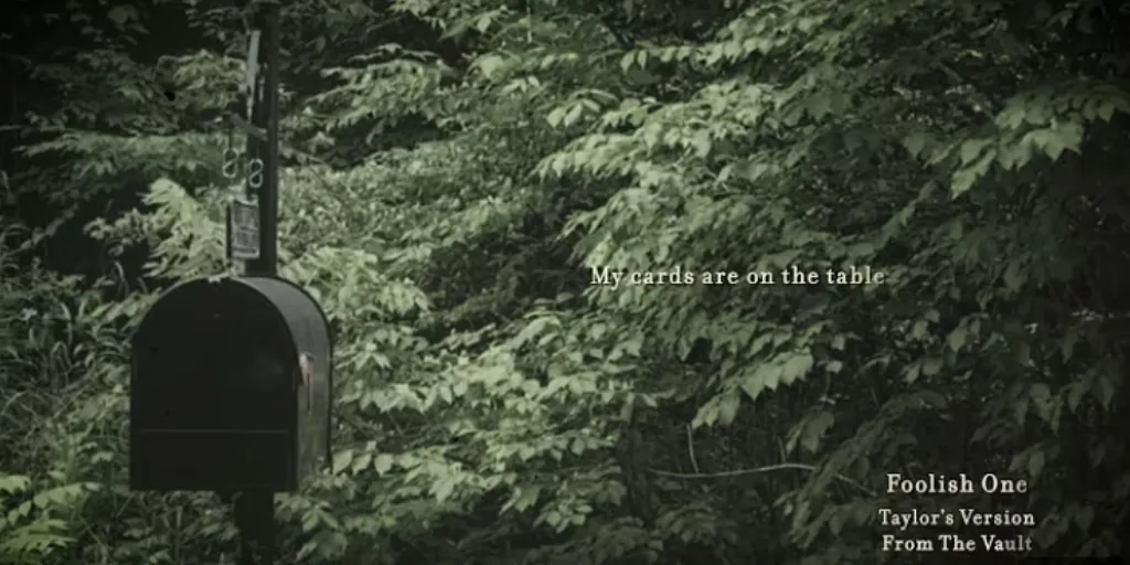 Taylor Swift - Foolish One (Terjemahan)