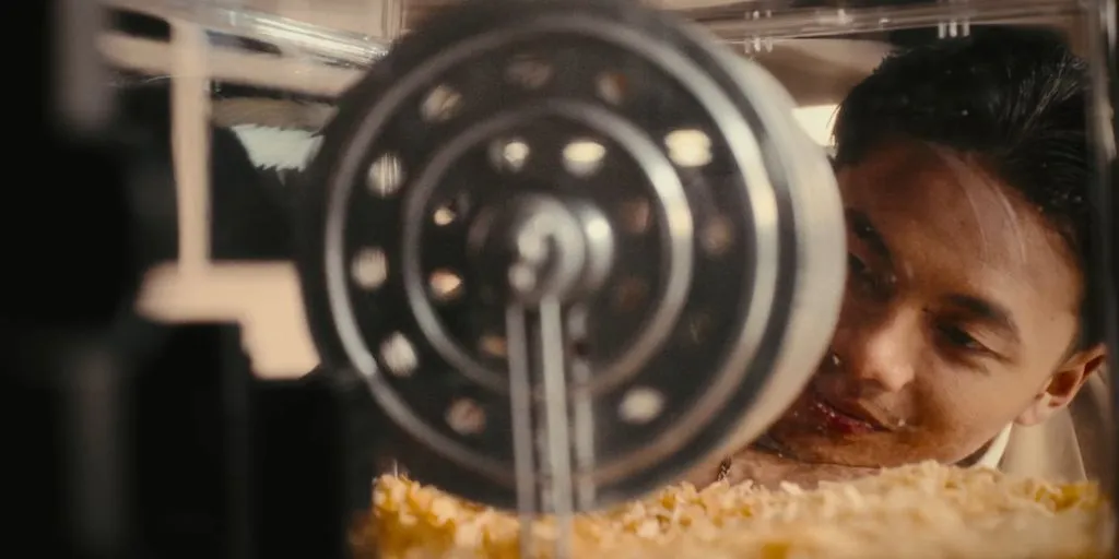 Tsaqib - Roda Berputar