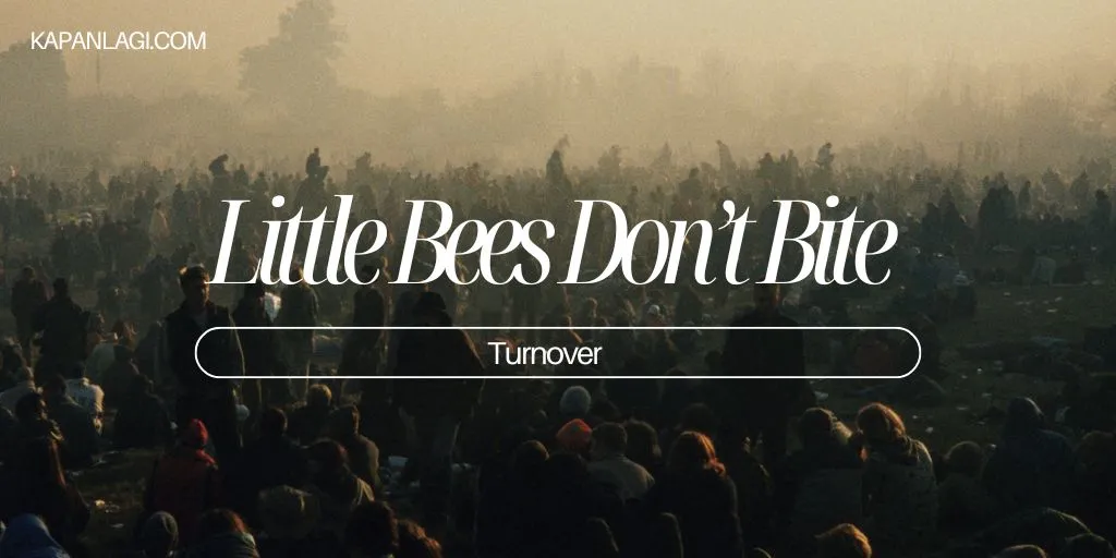 Lirik Little Bees Don’t Bite - Turnover