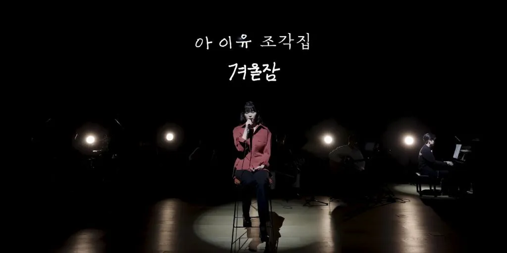 IU - Winter Sleep