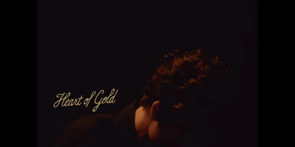 Shawn Mendes - Heart of Gold