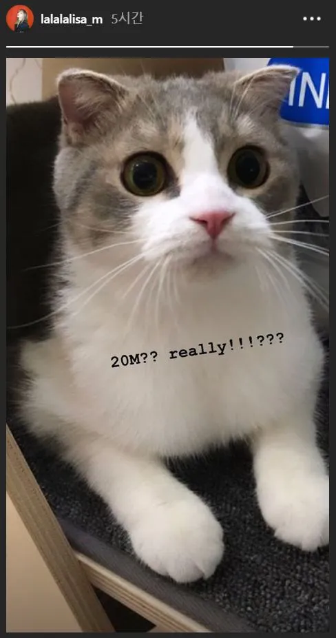 Credit: instagram.com/lalalalisa_m