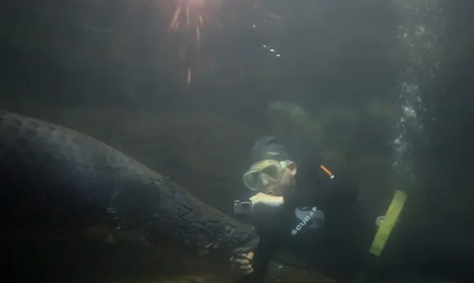 © KapanLagi.com/Fikri Alfi Rosyadi 