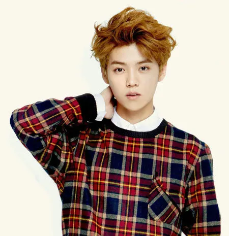 Media China, Sina ungkap alasan Luhan keluar dari EXO @koreaboo.com