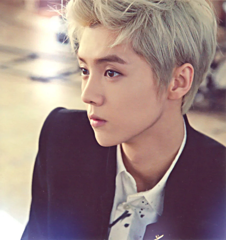 Luhan memutuskan untuk menggugat SM Entertainment. ©wattpad.com