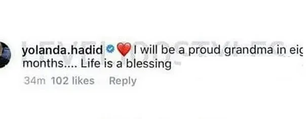 Yolanda Hadid seakan-akan memberitakan kabar kehamilan putrinya © Instagram