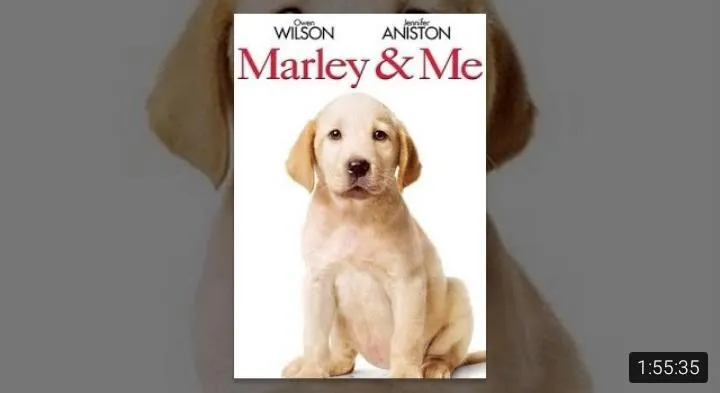 Marley and Me (2008)
