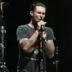 Maroon 5 - Wasted Years (Terjemahan)
