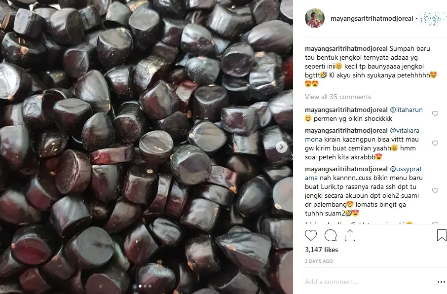 Mayangsari ©instagram.com/mayangsaritrihatmodjoreal