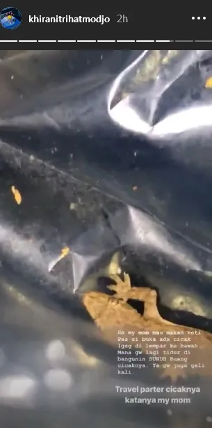 @instagram/khiranitrihatmodjo