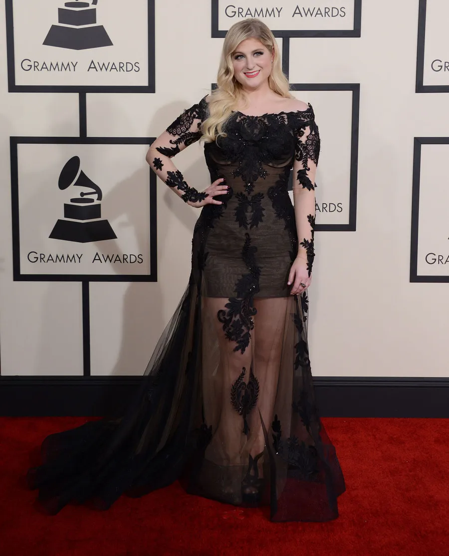 Penampilan Meghan di Grammy Awards 2015 ©fameflynet.com
