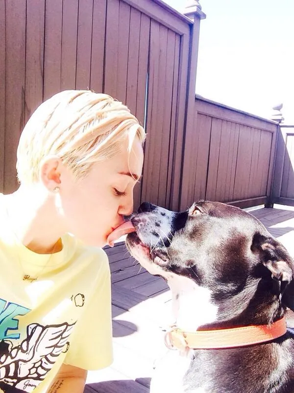 Miley Cyrus @ Twitter/MileyCyrus