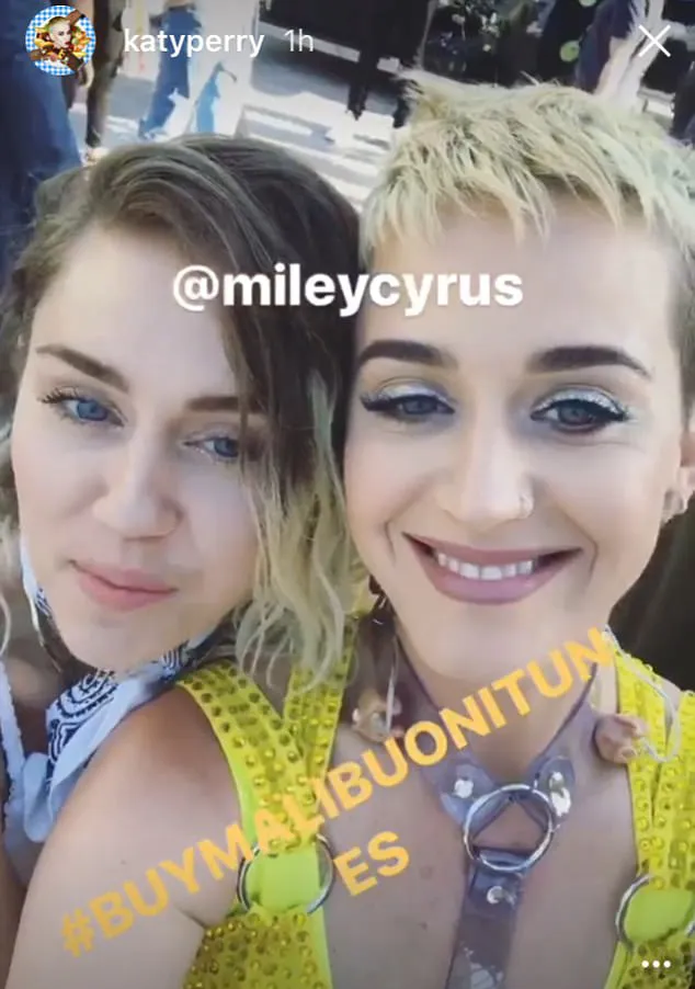 Katy tetap beri support-nya untuk Miley © instagram.com/katyperry