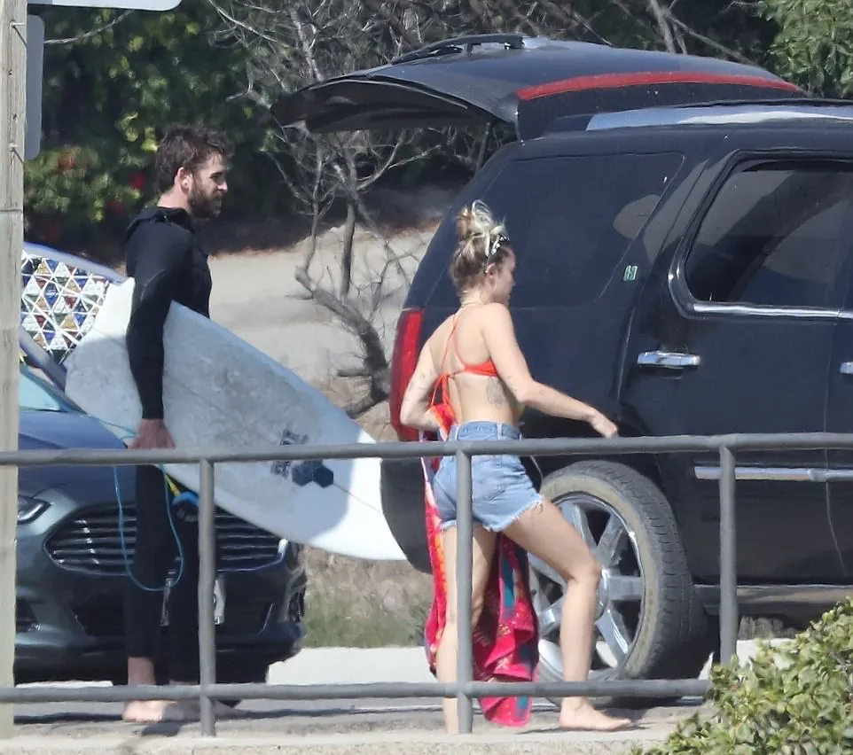 Tak lama kemudian mereka memutuskan untuk pulang © dailymail.co.uk